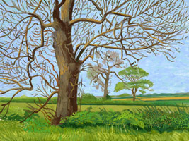 David Hockney / 
Late Spring Near Kilham, 2006 / 
oil on canvas / 
36 x 48 in. (91.4 x 121.9 cm)  / 
framed: 36 5/8 x 48 5/8 in. (93 x 123.5 cm)