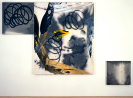 Spec X-1, 1998 / 
acrylic on canvas / 
80 x 116 in (203.2 x 294.6 cm) overall (triptych) / 
Private collection