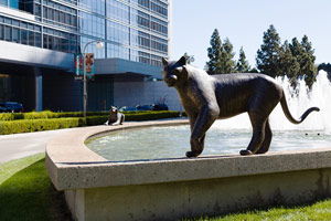 Gwynn Murrill<br>
Tiger 3, 2004<br>
bronze<br>
48 x 91 x 23 in. (121.9 x 231.1 x 58.4 cm)