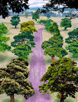 David Hockney / 
Summer Road Near Kilham, 2008 / 
      inkjet printed computer drawing on paper / 
      48 1/4 x 37 in. (122.6 x 94 cm) / 
      Private collection