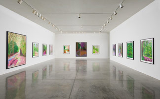 Installation photography, David Hockney: The Arrival of Spring 