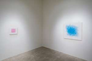 Installation photography<br> Shirazeh Houshiary