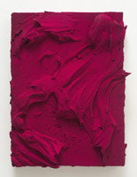 Jason Martin / 
Genus, 2011 / 
pure pigment on panel / 
22 x 18 1/8 in (56 x 46 cm) / 
Private collection 