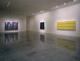 Jason Martin installation photography, 2000