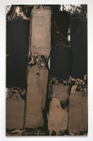 Ed Moses / 
Jork, 2001 / 
acrylic on canvas / 
96 x 60 in (243.8 x 152.4 cm)