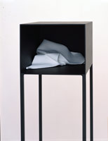 Cabinet, 1992 / 
plaster and steel / 
67 1/2 x 12 x 18 in (171.5 x 30.5 x 45.7 cm)