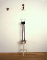 Michael C. McMillen / 
Dracula's Daughter, 1994 / 
      mixed media installation / 
      dimensions variable