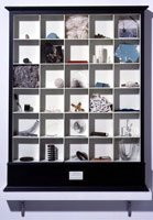 Michael C. McMillen / 
The Museum of Wax, Strings & Springs, 1995 - 97  / 
      cabinet with specimens Nos. 157-187 inclusive  / 
      37 1/2 x 29 1/2 x 4 in. (95.25 x 74.93 x 10.16 cm)