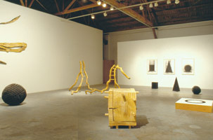 David Nash Santa Monica Museum of Art / installation photography, 1994