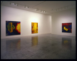 Per Kirkeby installation photography, 1997