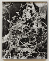 Peter Holzhauer / 
PV Rock, 2011 / 
gelatin silver print / 
21 1/2 x 17 1/8 in. (54.6 x 43.5 cm) framed: 22 x 17 1/2 in. (55.9 x 44.5 cm) / 
Edition 1 of 6 