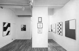 Frederick Hammersley, Rules and Exceptions installation photography