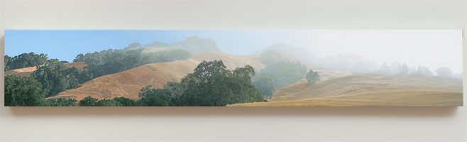 Sandra Mendelsohn Rubin / 
Lifting Fog, 2008 / 
oil on polyester / 
9 x 54 in. (22.9 x 137.2 cm) / 
Private collection