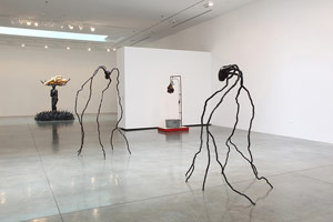 Installation photography<br>
Alison Saar: STILL . . .
