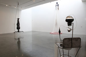 Installation photography<br>
Alison Saar: STILL . . .