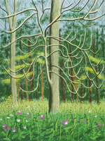 David Hockney / 
The Arrival of Spring in Woldgate, East Yorkshire in 2011 (twenty eleven) / - 4 May / 
iPad drawing printed on four sheets of paper, mounted on four sheets of Dibond / 
96 x 72 in. (244 x 183 cm) framed / 
Edition of 10 / 
Private collections