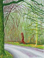 David Hockney / 
The Arrival of Spring in Woldgate, East Yorkshire in 2011 (twenty eleven) / - 18 January / 
iPad drawing printed on paper / 
57 x 44 in. (145 x 112 cm) framed / 
Edition of 25