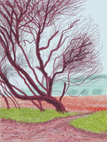David Hockney / 
The Arrival of Spring in Woldgate, East Yorkshire in 2011 (twenty eleven) / - 18 March / 
iPad drawing printed on paper / 
57 x 44 in. (145 x 112 cm) framed  / 
Edition of 25 / 
Private collections