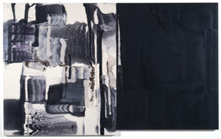 Racko #3, 1995 / 
Acrylic & oil on canvas  / 
78 x 126 in (198.1 x 320 cm) / 
Private collection