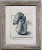 D'anjou pair, 1974 / pencil on rag paper / 5 x 8 1/2 (12.7 x 21.6 cm) / Private collection