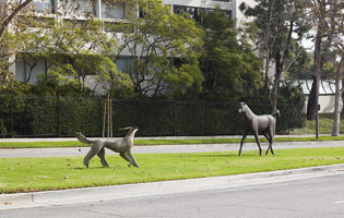 Gwynn Murrill<br>
Running Saluki, 2012<br>
bronze<br>
42 x 77 x 24 in. (106.7 x 195.6 x 61 cm)<br><br>

Horse, 1999<br>
bronze<br>
76 x 99 x 21 in. (193 x 251.5 x 53.3 cm)
