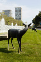 Gwynn Murrill on Avenue of The Stars