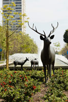 Deer 3 AC1, 1999 - 2007<br>
bronze<br>
75 x 66 x 34 1/2 in. (190.5 x 167.6 x 87.6 cm)