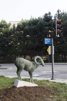 Gwynn Murrill<br>
Bighorn, 2008 - 2011<br>
bronze<br>
48 x 56 x 24 in. (121.9 x 142.2 x 61 cm)