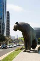 Gwynn Murrill<br>
Tiger 2, 2001<br>
bronze<br>
42 x 62 x 31 in. (106.7 x 157.5 x 78.7 cm)