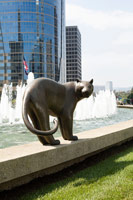 Gwynn Murrill<br>
Tiger 1, 2001<br>
bronze<br>
39 x 54 x 27 in. (99.1 x 137.2 x 68.6 cm)