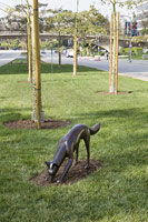 Gwynn Murrill<br>
Coyote IV, 1985 - 2009<br>
bronze<br>
23 x 50 x 11 in. (58.4 x 127 x 27.9 cm)