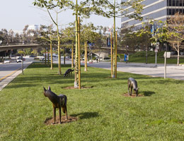 Gwynn Murrill on Avenue of The Stars