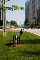 Gwynn Murrill<br>
Coyote VII, 1996<br>
bronze<br>
28 x 36 x 13 in. (71.1 x 91.4 x 33 cm)