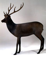 Gwynn Murrill / 
Deer 3, 1999 / 
bronze / 
77 x 70 x 35 in (195 x 177 x 89 cm)