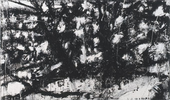 Landscape No. 173, 1990 - 92 / 
acrylic, emulsion, black ink, shellac on board / 
60 x 103 in (152.4 x 261.6 cm)