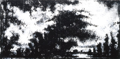 Landscape No. 654, 1999 - 01 / 
acrylic, shellac, emulsion on canvas / 
66 x 132 in (167.6 x 335.3 cm) / 
Private collection
