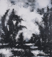 Landscape No. 645, 2000 - 01 / 
acrylic, shellac, emulsion on canvas / 
84 x 78 in (198.1 x 213.4 cm) / 
Private collection