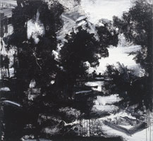 Landscape No. 647, 2002 / 
acrylic, shellac, black ink on canvas / 
72 x 78 in (182.9 x 198.1 cm) / 
Private collection