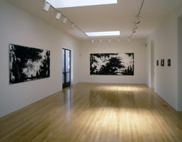 John Virtue installation photography, 2002