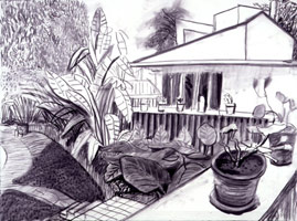 David Hockney / Garden View from Office I, 2000 / 
charcoal on paper / 
28 1/2 x 36 1/2 in. (fr) (92.1 x 121.9 cm)