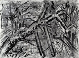 Cherry Tree, Autumn, 2002 / 
      charcoal on paper / 
      22.13 x 29.92 in. (56.2 x 76 cm)