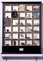 The Museum of Wax, Strings & Springs, 1995 - 1997 / 
cabinet with specimens Nos. 157-187 inclusive / 
37 1/2 x 29 1/2 x 4 in (95.3 x 74.9 x 10.2 cm)