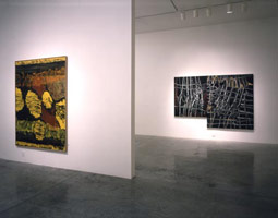 Installation photography, Painting, 28 May - 3 July 2004