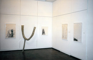 Peter Shelton installation photography, 1993