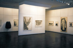 Peter Shelton installation photography, 1993