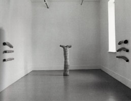 Peter Shelton installation photography, 1998