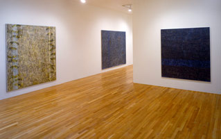 Therese Oulton installation photography, 1991