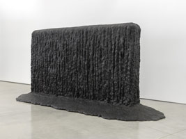 Sui Jianguo / 
Schwarzwald, 2014 / 
bronze / 
93 x 199 x 80 in. (236.2 x 505.5 x 203.2 cm)