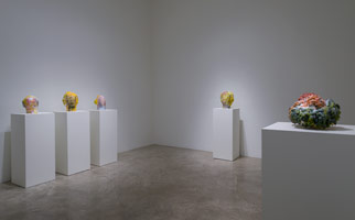 Installation photography, Matt Wedel: Peaceable Fruit