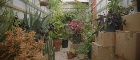 Alison O'Daniel / 
The Tuba Thieves, Scene 29: The Plants Are Protected, 2013 / 
video / 
TRT: TBD / 
Edition of 5 